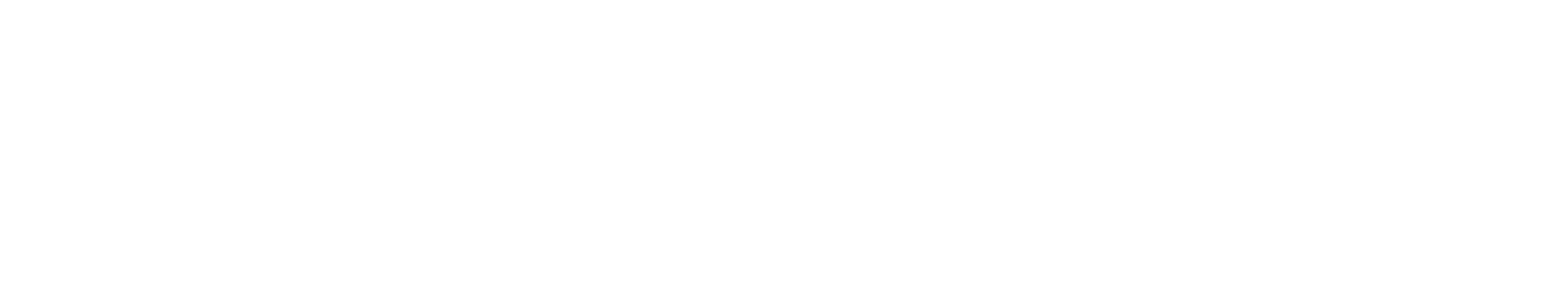 I C Bassett Consulting Ltd